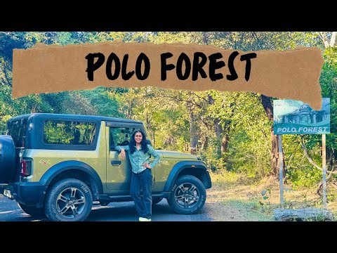 Polo Forest Trip Shares TOP Tips | Weekend trip to the serene Polo Forest!