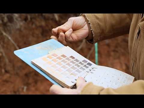 Soil Pit Lab - 2 with Professor Ray Weil: Soil Color and Classification