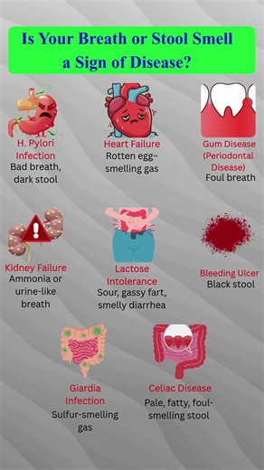 What Your Body Odor Is Telling You | Breath, Stool & Gas Warning Signs #healthylifestyle