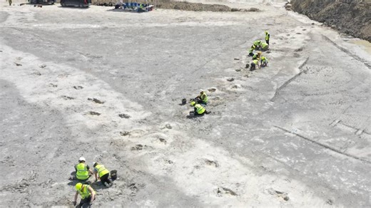 Researchers discover numerous dinosaur footprints in a UK quarry