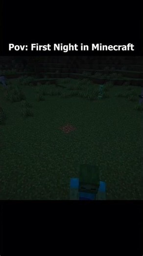 every player first night in Minecraft