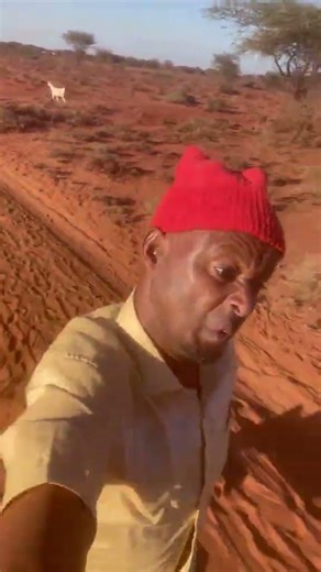 🤣 FunDaily | The Funniest Moments of Today! #funny