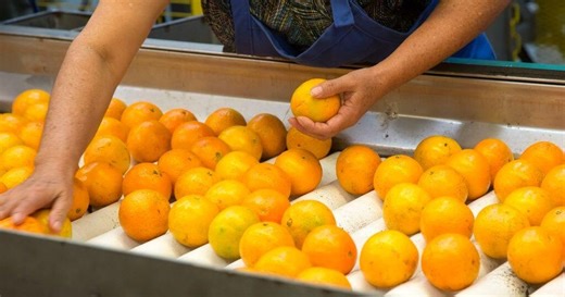 Maintaining the safety of our food