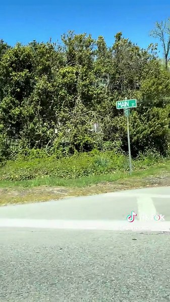 Windows down, sun pouring through the trees, and that first real feeling of summer on the ride to Crosby Landing Beach. The kind of spring day that reminds you how lucky you are to call Cape Cod home. #capecod #capecodlife #capebeachlife #fyp #brewsterma