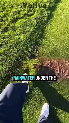 Never Step on This Bubble on Your Lawn! #crazily