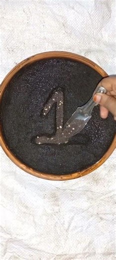 seedworld26 🌱 Number 1💚#seeds #shorts #song