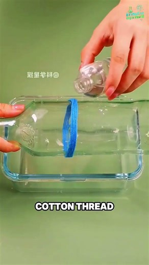 innovative experiments