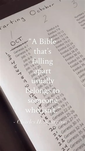 Allie on Instagram: "Because being in Gods Word is the BEST way to find peace in a chaotic world, to stand on TRUTH that is unchanging, and build your family on the FIRM foundation! Did you join us? Did you start your Bible reading plan? Let’s encourage each other, motivate each other, sharpen each other, and ultimately push back the darkness together! *if you want to join us find the link in my profile to download the free Bible reading plan today!"