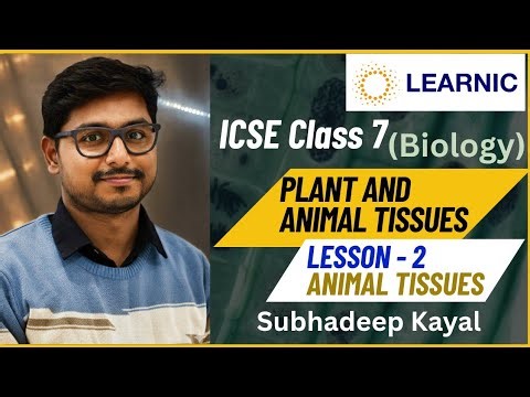 Plant And Animal Tissues | ICSE Class 7 Biology | Chapter 1 | Kinds Of Animal Tissues | LEARNIC ICSE