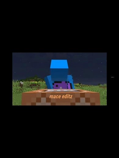 Dolphin mastering spear-mace technique #minecraft