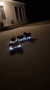 These are the cutest puppers. Regular night walks weren’t cutting it so they went full LED paw booties. Now these fluffy legends are prancing around impossible to lose, turning the whole neighborhood into their personal fan club. Pls heart them