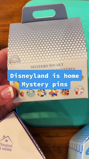 Limited Edition Disneyland Mystery Pins Trading