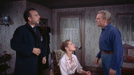 Run for Cover.1955.BDRemux 1080p.mkv_20260101_131523