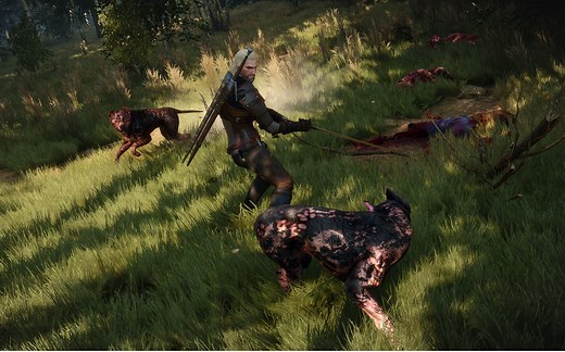 《巫师3：狂猎》全成就全任务最高难度攻略解说 第三期 百果园的野兽（上）