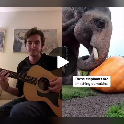 Hilarious Music Comedy Duet with Smashing Pumpkins