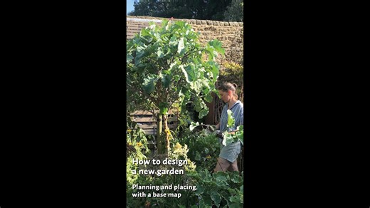 Author, forest gardener, and garden designer, Pippa Chapman, shares one of the most important aspects of starting a new garden – planning. Pippa will be sharing more tips as well as her favourite plants for a multilayered edible and beautiful garden and much more, over on our YouTube channel soon. | Permaculture Magazine | Facebook