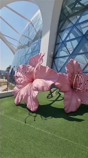 [서울 여행]"무궁화꽃, 한국의 아름다움을 담은 나라꽃 (서울식물원)"