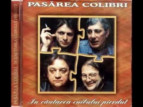 Pasarea Colibri - In cautarea cuibului pierdut (1995) (full album)