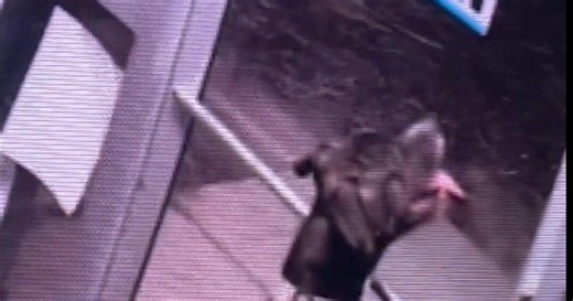 Doggy escape artist brings national publicity to Huntington animal shelter