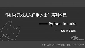 0301 nuke脚本编辑器