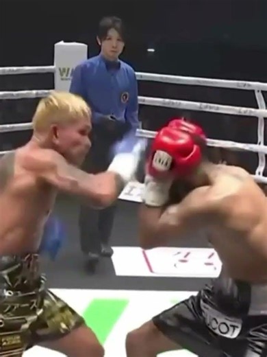 NERY KNOCKOUT VS CASIMERO