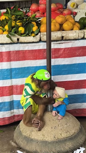 61K views · 1.9K reactions | Best compilation videos! Oh my god, what a special one of a kind market  | Cubis TV | Facebook