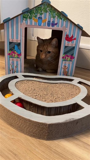 Giraffee11011 (@giraffee113)’s videos with Hello Kitty, You're So Pretty - Lavy Angel