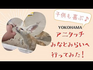 【横浜】アニタッチみなとみらいに行って来た！子供も大喜び。かわいい動物たちに癒される