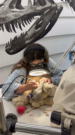 Perot museum of nature and science