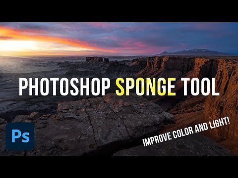 How to use the Sponge Tool in Photoshop to Improve Color and Light