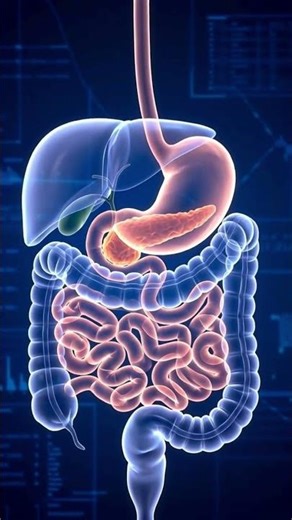 Kedi ProbiotiQ – Probiyotik + Prebiyotik Kompleks