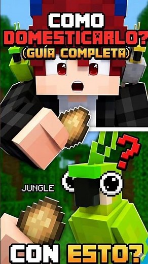 How to tame PARROTS in Minecraft? 🦜