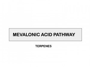 MEVALONIC ACID PATHWAY - SlideServe