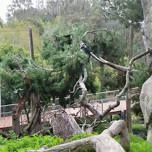 Don't want to harp on this, but when you slow down you see more clearly. | San Diego Zoo
