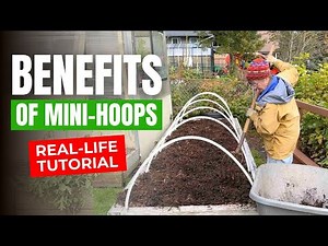 Why Mini-Hoops Are a Game-Changer for Raised Bed Gardening--and YOU!