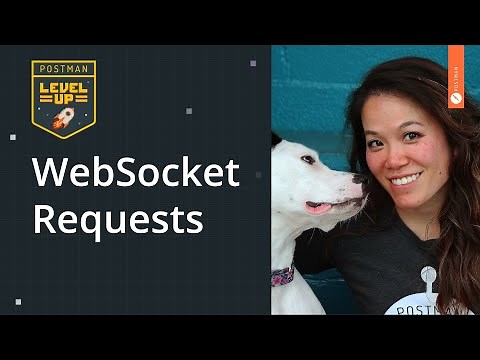 WebSocket Requests | Postman Level Up