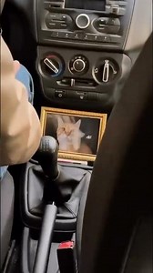 #позитив #смех #популярное #шуточное #юмор