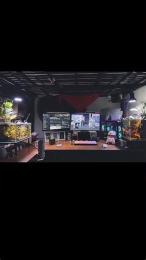 Game + Aquarium Desk Setup - My Dream.