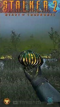 ☢️ STALKER 2: The RARE "Skipjack" Artifact Location! (Zero Debuffs!) 🧪📟