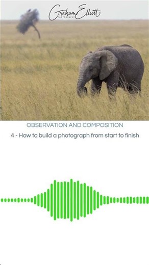 observation and composition ep 4 how to build a photograph from start to finish #learnphotography