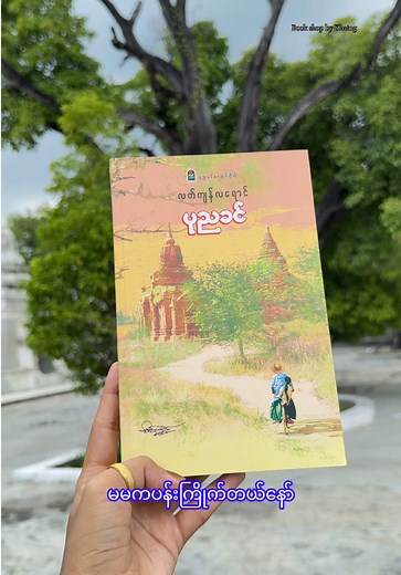 လက်ကျန်လရောင် - ပုညခင်စာအုပ်အကြောင်း