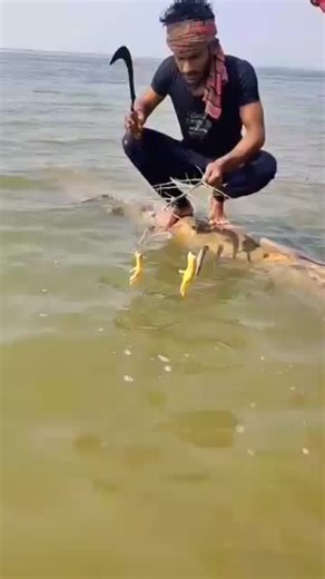 #fiahmasters #foryou #veralvideo #unfrezzmyaccount #10milones_viralvideo