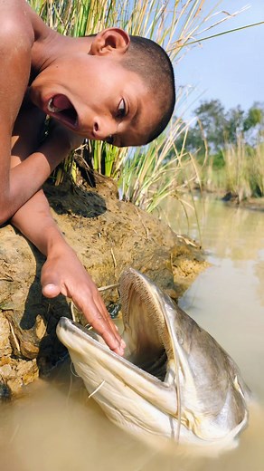 997K views · 8.2K reactions | Big Monster fish Hand Hunting Scenes. Best Fishing Video. #reels #shorts #fish #fishing #videos | How it Possible 3.0 | Facebook