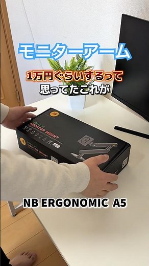 Monitor arm NB ERGONOMIC A5