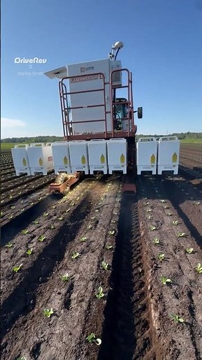 How This Smart Machine Snipes 10,000 Weeds