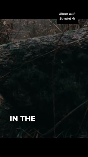 The Phantom Car of Lighthouse Point: A Keeper's Terrifying 3 AM Discovery