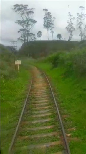 Travel by train- trip to nuwaraeliya 😍😎#travel #nature #traintravel