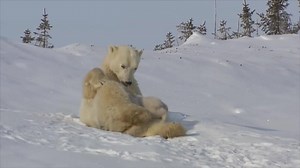 Adorable 💛 | Nature & Découverte