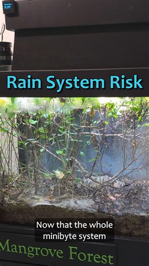 A cockroach Might Break My Rain System