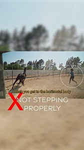 318K views · 4.3K reactions | The wheelbarrow walk  #mindyourhorse #chrisirwin | Mind Your Horse | Facebook